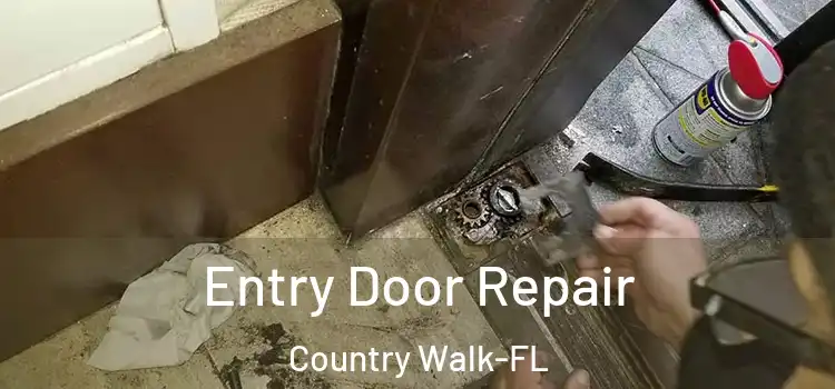  Entry Door Repair Country Walk-FL